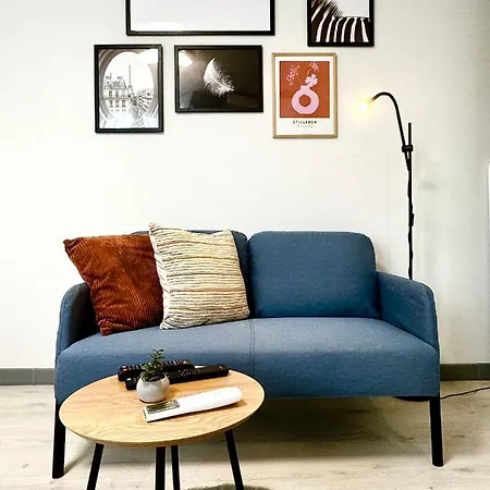 Apartment Chic Timisoara