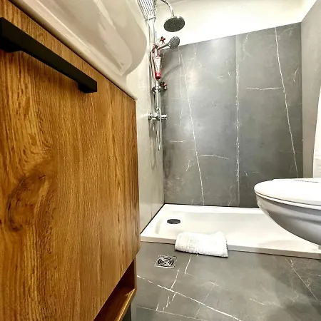 Chic Apartment Timisoara