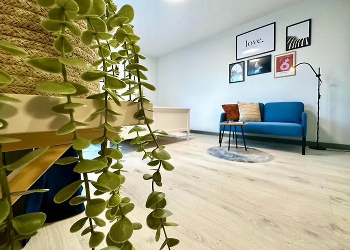 Chic Apartment Timisoara