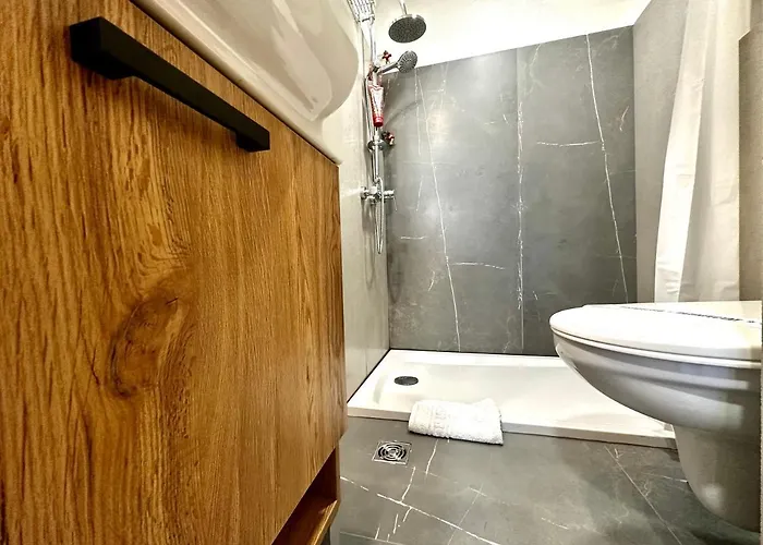 Chic Appartement Timişoara